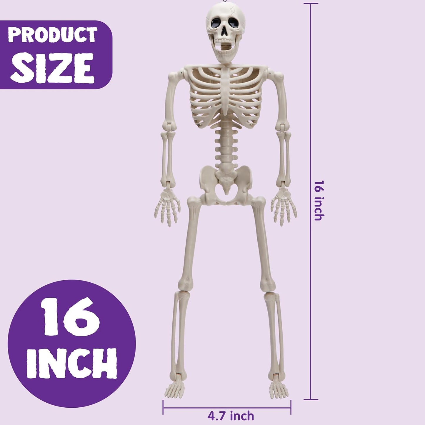 5 PCS Posable Halloween Skeleton Decor 16 Inches, Full Body Posable Joints Hanging Skeletons for Halloween Decorations